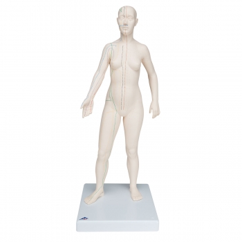 Akupunktur-Figur, weiblich