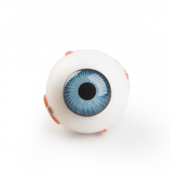 Steckauge für VA01 / 1001235 und VA16 / 1001236