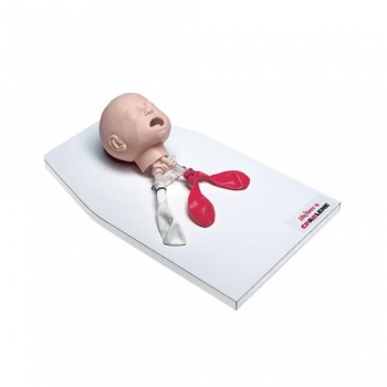 Beatmungstrainer Baby auf Sockel