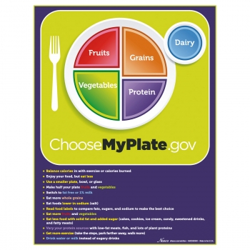 MyPlate Tear Pad