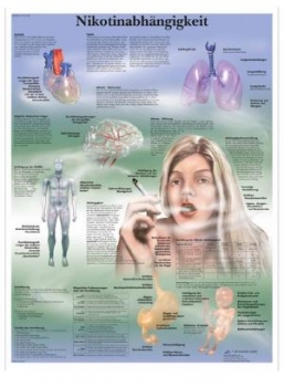 Lehrtafel - Nikotinabhängigkeit 50 x 67 cm