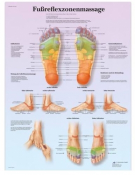 Lehrtafel - Fußreflexzonenmassage