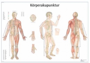 Lehrtafel - Körperakupunktur 98 x 68 cm
