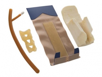 Haut, Muskel und Rückenmark