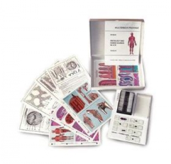 Protozoen (Einzeller), Basispaket mit 8 Einheiten MULTIMEDIA-SCHÜLERSATZ