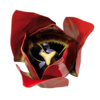 Tulpenblüte (Tulipa gesneriana), Modell