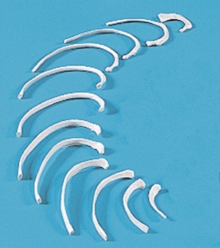 Rippen (12 Stück einer Seite)