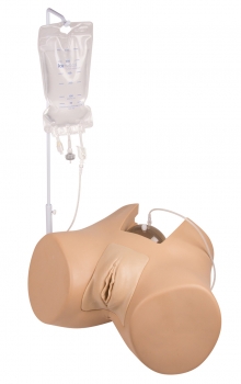 Blasenkatheterisierungs-Simulator Florence, weiblich
