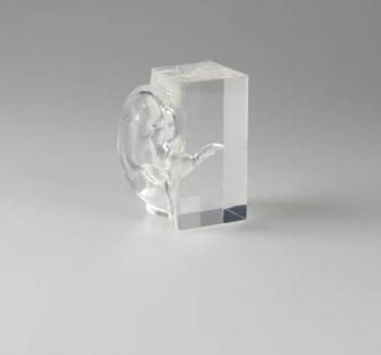 Transparentes Ohrmodell