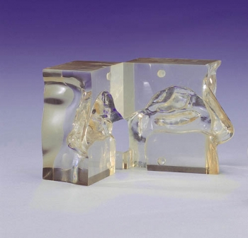 Transparentes Nasenmodell