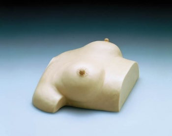 Brustpflege und -massagemodell