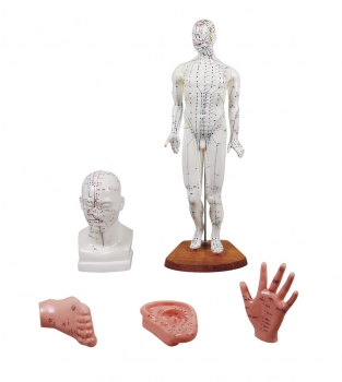 Chinesisches Akupunkturset, 5 Modelle