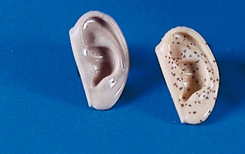 Akupunktur-Ohren, natürliche Größe, 2-er Set