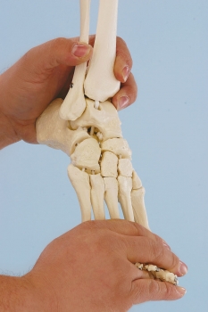 Zusatzausstattung flexibler Fuß, rechts