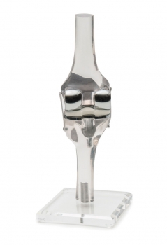 Kniemodell mit Endoprothese