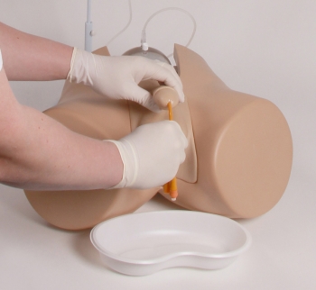 Katheterisierungsmodell mit Genitaleinsatz männlich u. weiblich