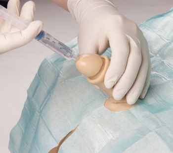 Katheterisierungsmodell mit Genitaleinsatz männlich u. weiblich