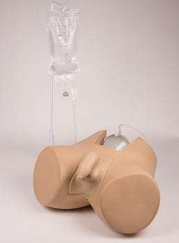 Blasenkatheterisierungs-Simulator Henri, männlich