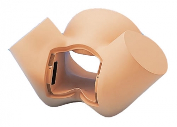 Passender Unterkörper für Übungsmodule