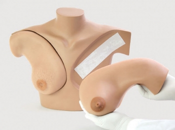 Brust Tastuntersuchungssimulator für klinische Ausbildung