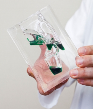 Transparentes Laryngopharynx Modell