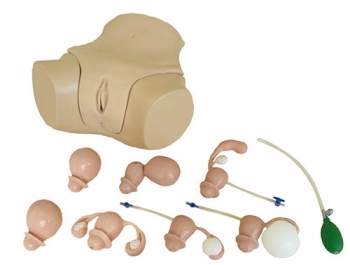 Gynäkologischer Untersuchungssimulator