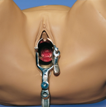 GYN/AID Gynäkologischer Simulator
