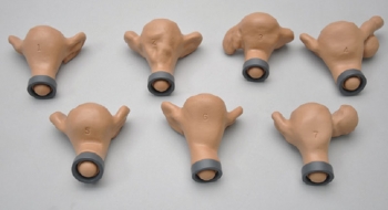 GYN/AID Gynäkologischer Simulator