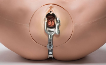 Gynäkologie-Übungsmodell ZOE