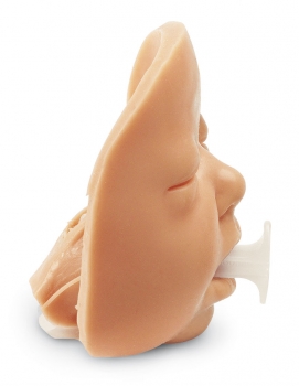 Supraglottische Atemwegshilfen Trainer Kind