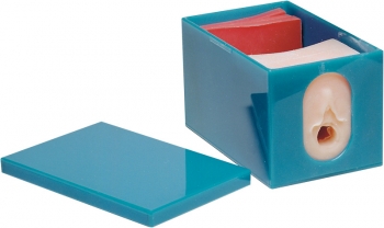 Geburtsfortschritts- und Fetalüberwachungs-Modellset