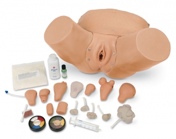 Gynäkologischer Simulator