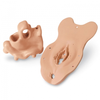 Erweiterungsset Spezial-Untersuchungsmodule