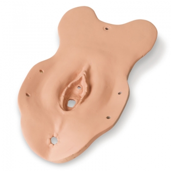 Erweiterungsset Spezial-Untersuchungsmodule