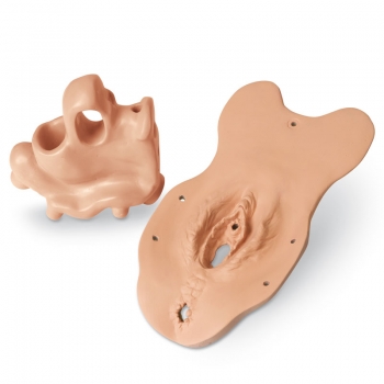 Untersuchungsmodul Menopause