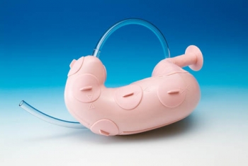 Trainer für endoskopische Submukosadissektion (ESD) (LM83)