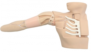 PICC Training Simulator, ultraschallfähig