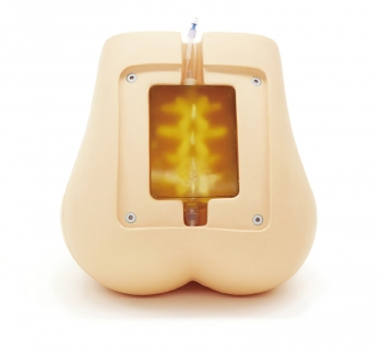 Ultraschallfähiger Lumbalpunktions-/Epiduralpunktions-Simulator