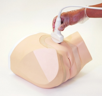 Weibliches Ultraschall Beckenphantom