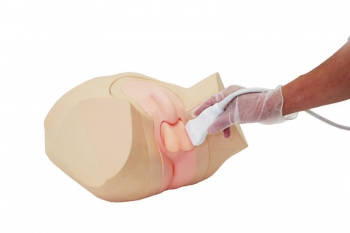 Hoden Ultraschall Phantom