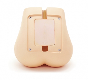 Lendenwirbelsäulen-Durchleuchtungsphantom