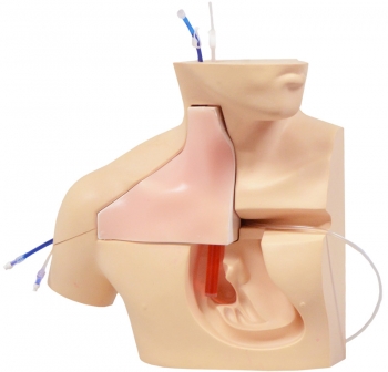 ZVK Kanülierungssimulator III