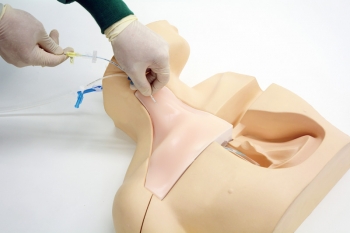 ZVK Kanülierungssimulator III