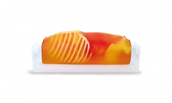 Pädiatrisches FAST Ultraschall - Untersuchungsmodell