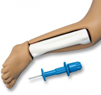 Intraossäres Bein für R17700