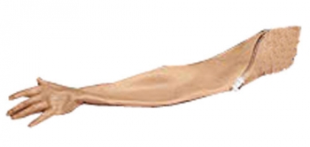 Ersatzset Haut und Vene