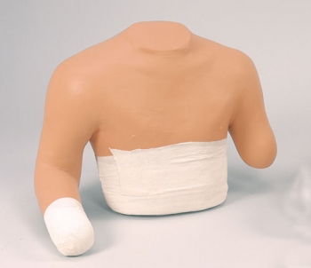 Stumpfverbandstrainer Oberkörper (R10022)