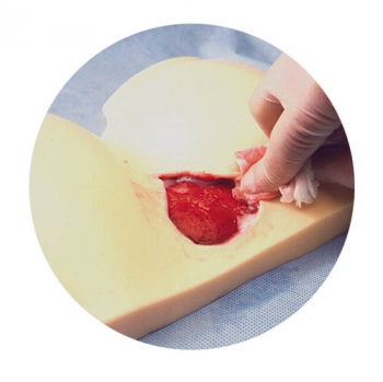 Dekubituspflege-Simulator (R10026)