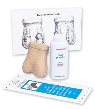 Hoden-Tastmodell (R10034)