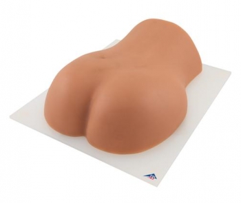 Simulator für Bildgesteuerte Injektionstherapie an der Lendenwirbelsäule P65